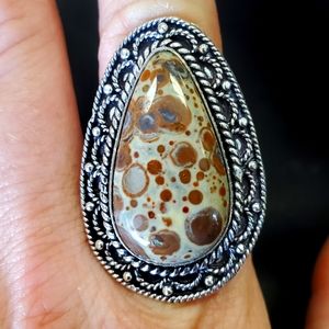 New Asteroid Jasper Silver Ring.